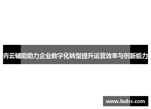 青云辅助助力企业数字化转型提升运营效率与创新能力