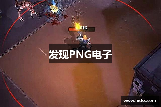 发现PNG电子